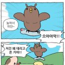 노란부엉이 Daum카페