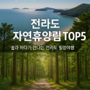 격포채석강카공업사 | 전라도 자연휴양림 TOP5 │ 바다·계곡·편백숲까지 가성비 비교 총정리