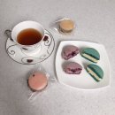쫀쫀당 | (평택, 마카롱) 아기자기한 디저트 가게 쫀쫀당 후기