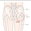 햇빛좋은피티 이미지
