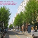 남구-81 이미지