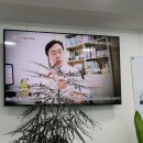 고려척척마취통증의학과의원 이미지
