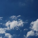 어느 날 오후 이미지