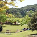 고창시장 입구 이미지