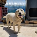 다감농장 이미지