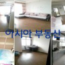 광리2 Daum카페