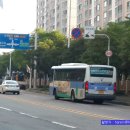 주정차단속-141 이미지