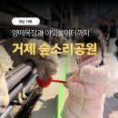 서정목장 | [거제] 아이랑 숲소리공원 양떼목장 체험과 대형 실외 놀거리 후기