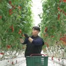 우리농산물 이미지