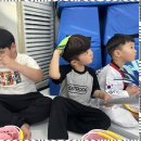 푸른경희대태권도체육관 이미지