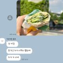 써브웨이뚝섬유원지역점 | 써브웨이 신상 5월 한정판 오이 샌드위치, 가격 효능효과 다이어트