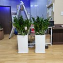 파워골프스쿨 이미지