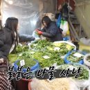 경동나물