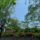 세정유치원 이미지