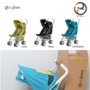 보라색라임 이미지