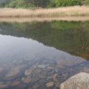 숲속의 샘물 캠핑장 이미지