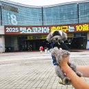 삼아팩토리소형점 | 2025 펫쇼코리아(하) 일산 후기 (현장사진/펫쇼볼/댕냥굿샵/쇼핑떼샷)