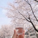 하남소한마리 | 서울 성북천 l 벚꽃 야장 싱싱소한마리 평일 오픈런 후기(웨이팅 꿀팁!)