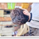 언덕미용실 | 대구남산동미용실 바람의언덕 카페 헤어샵 방문 후기