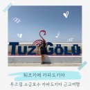 투즈 | 카파도키아 투즈괼 소금호수 가는 법 튀르키예 핑크호수