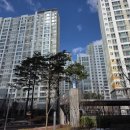 예가 | 구미 산동 쌍용예가 디아망 회벽 크림화이트 도배 후기