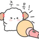 마재공인중개사사무소 이미지