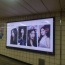 칼라광고 이미지