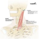 CM Fitness 이미지