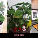 세상스케치 - 마포구 양화로 156 | 세상스케치