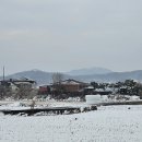당포성 Daum카페