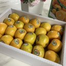 박달농장 이미지