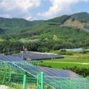반월태양광발전소 이미지