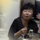 경희약초마을