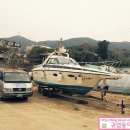 서포리아 이미지