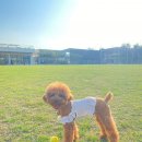 I'm휘트니스 이미지