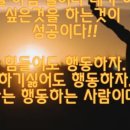 승리다이어트