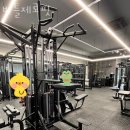 바틀제로핏 이미지