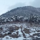 다두농장 이미지