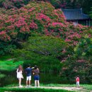 담양관광정보센터 이미지