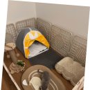 광주 강아지분양 고양이분양 어반펫 광주본점 이미지