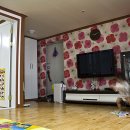 갈마중학교 이미지