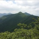 ※ 제 102차 정기산행 민주지산(岷周之山, 1,242m)......(충북 영동) 이미지