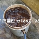 반여3동-10 이미지