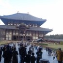 나라 7 - 도다이지 절을 보고 왕실의 보물창고 정창원으로! 이미지