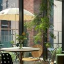 메릴리