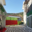 여유펜션 | 담양펜션 추천 [그리움 그리다] 2층 그리다 방 이용 넓은 잔디까지 여유로운 펜션 후기🌿