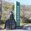 지리산365오토캠핑,펜션 이미지