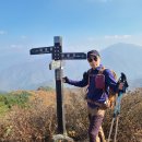 큰고리봉 Daum카페