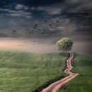 산바래기농장 이미지