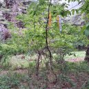 백동경로당 이미지